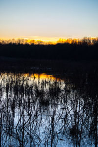 sunset marsh (1 of 1)